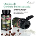 Indicador do carrossel
